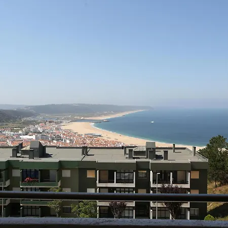 Topview 나자레